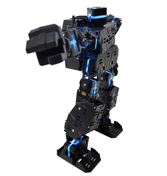 MRT Humanoid Robot